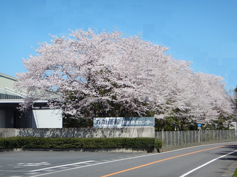 鈴鹿物流センター