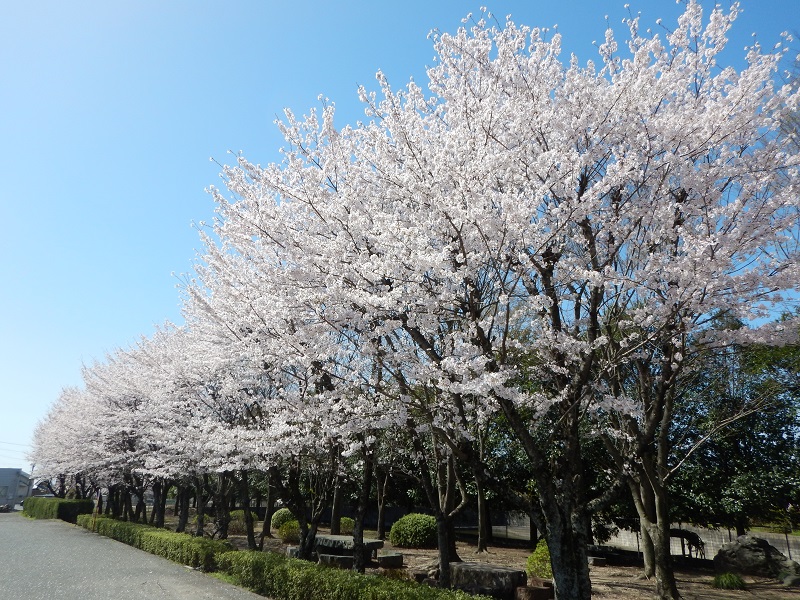 鈴鹿物流センター